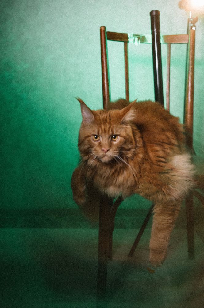 Photograph by Светлана Субботина