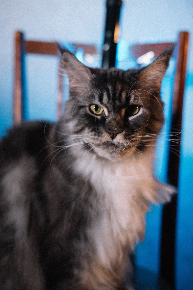 Photograph by Светлана Субботина