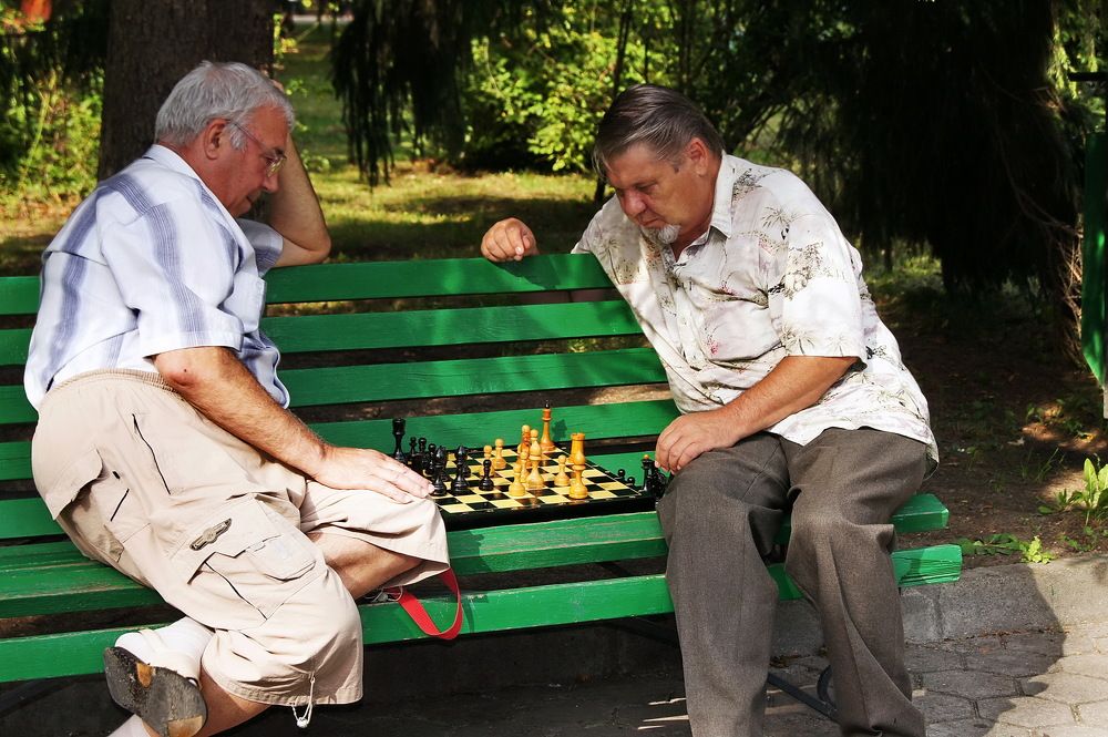 Шахматисты.