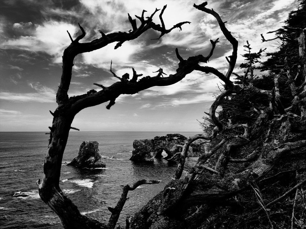 Фотография автора Илья