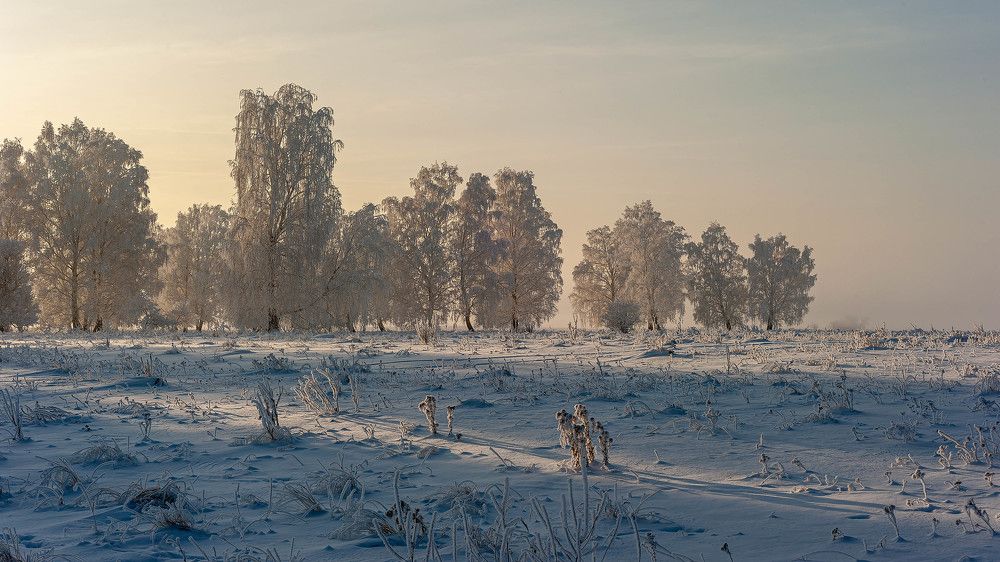 Photograph by Вадим Басов