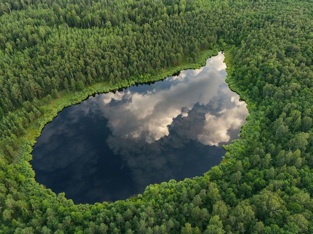 Photograph by Михаил Корнев