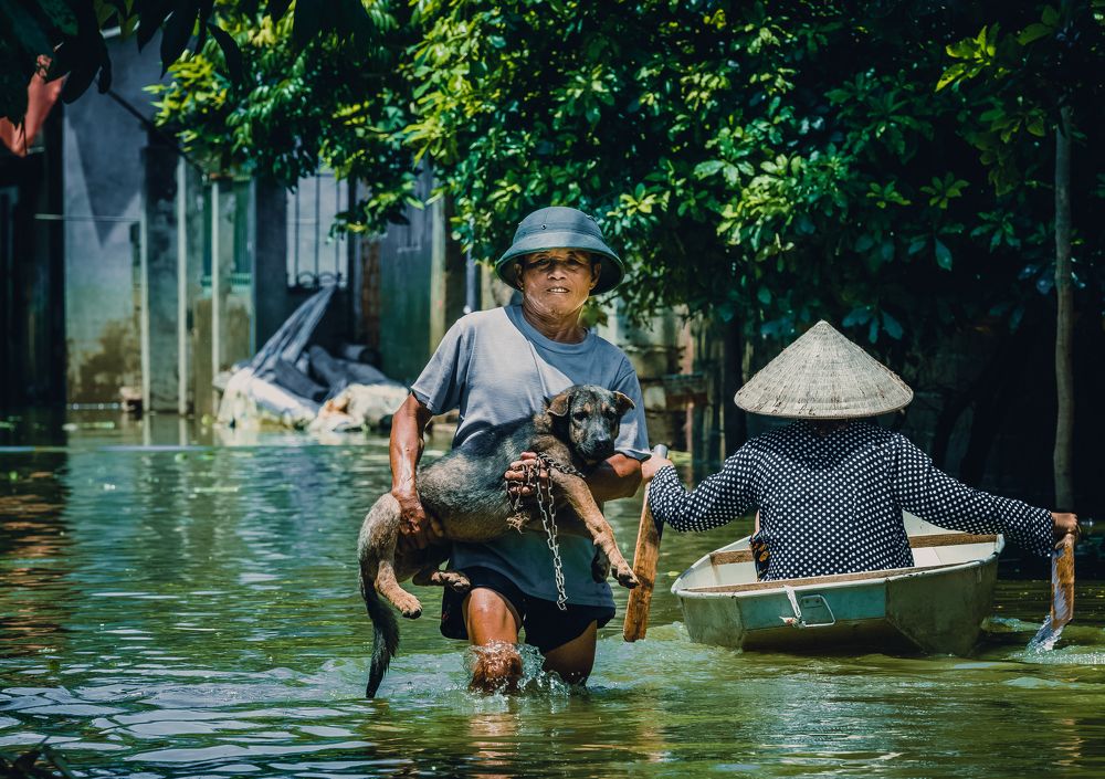 Photograph by Lê Huy Anh