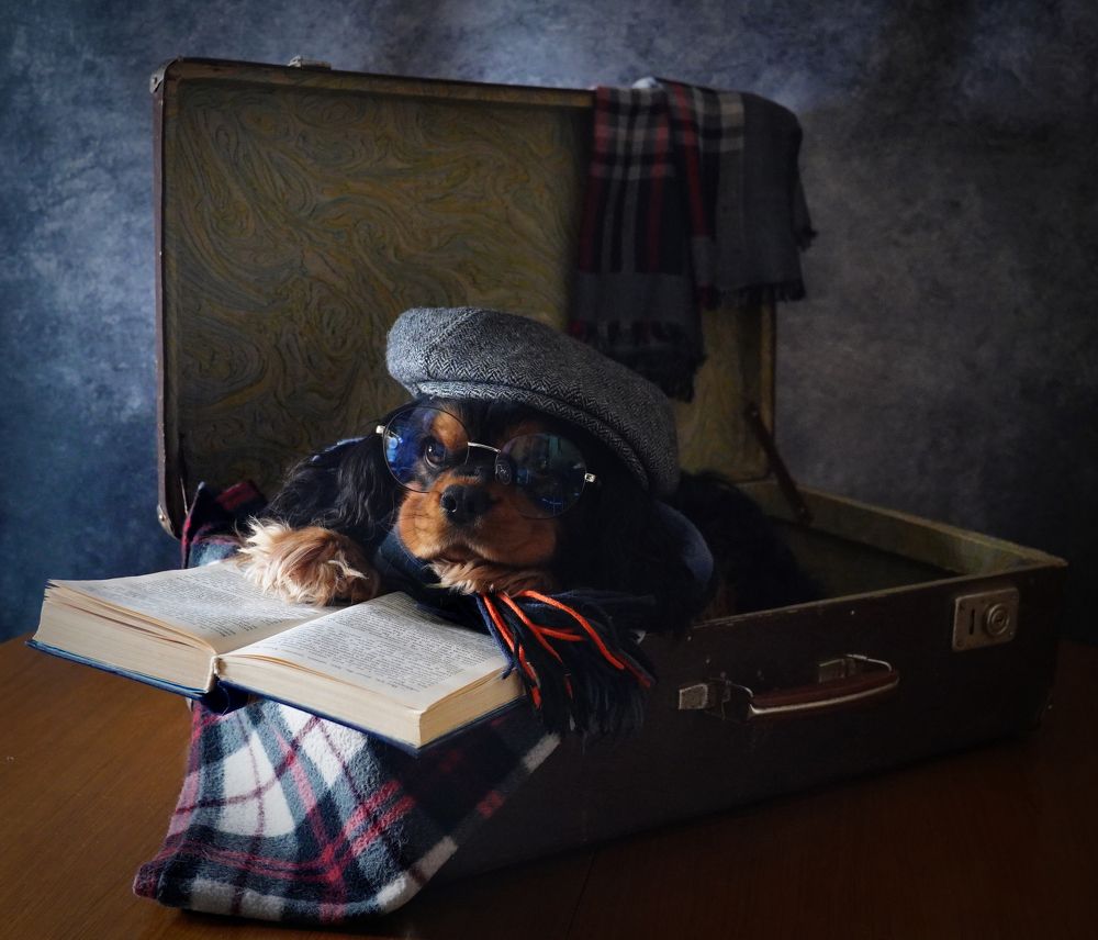 Photograph by Екатерина Молчанова