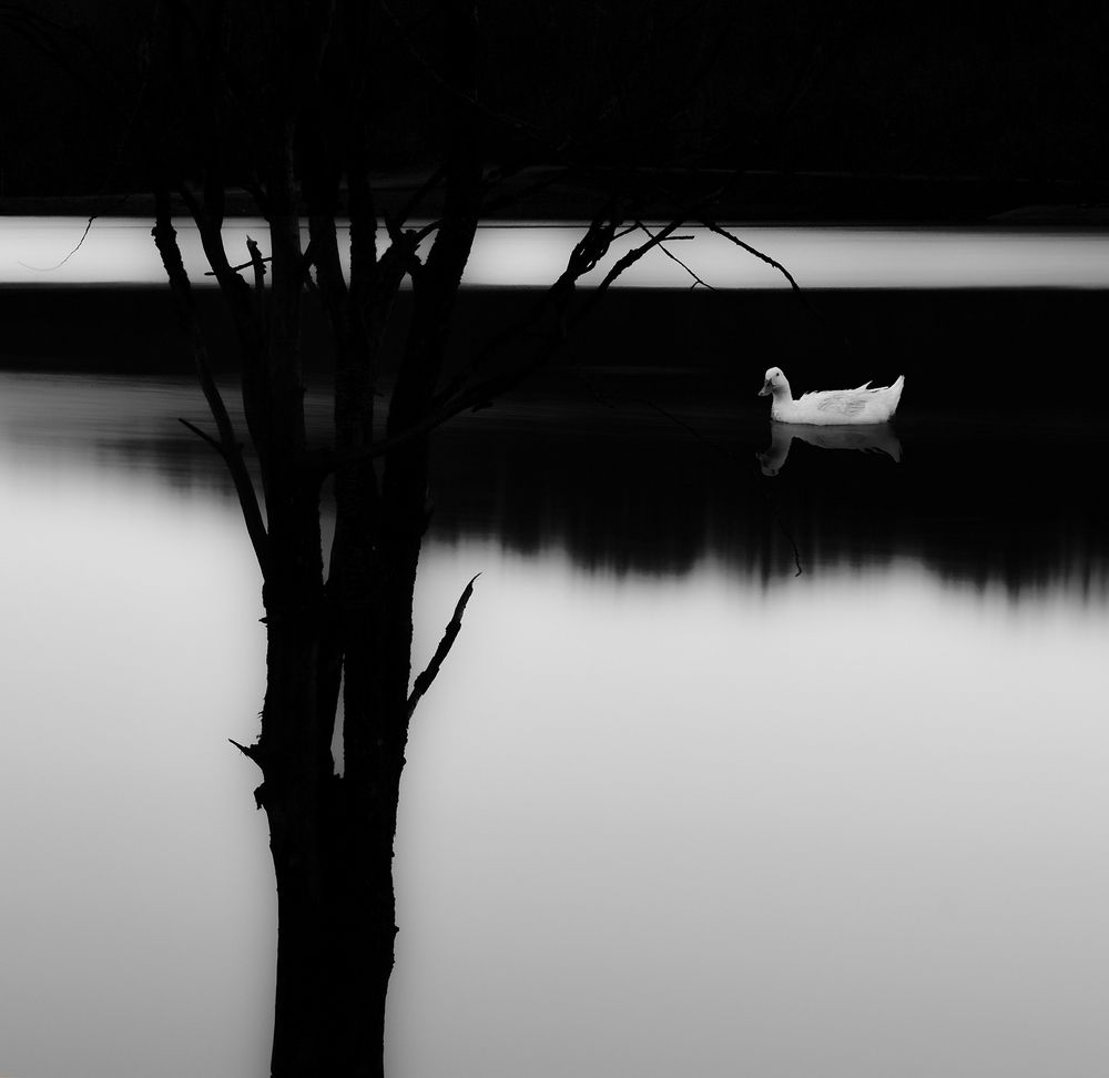 Photograph by Mahyar Kantoori