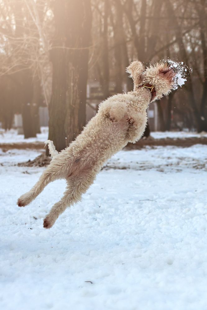 Photograph by Наталья Матюхина