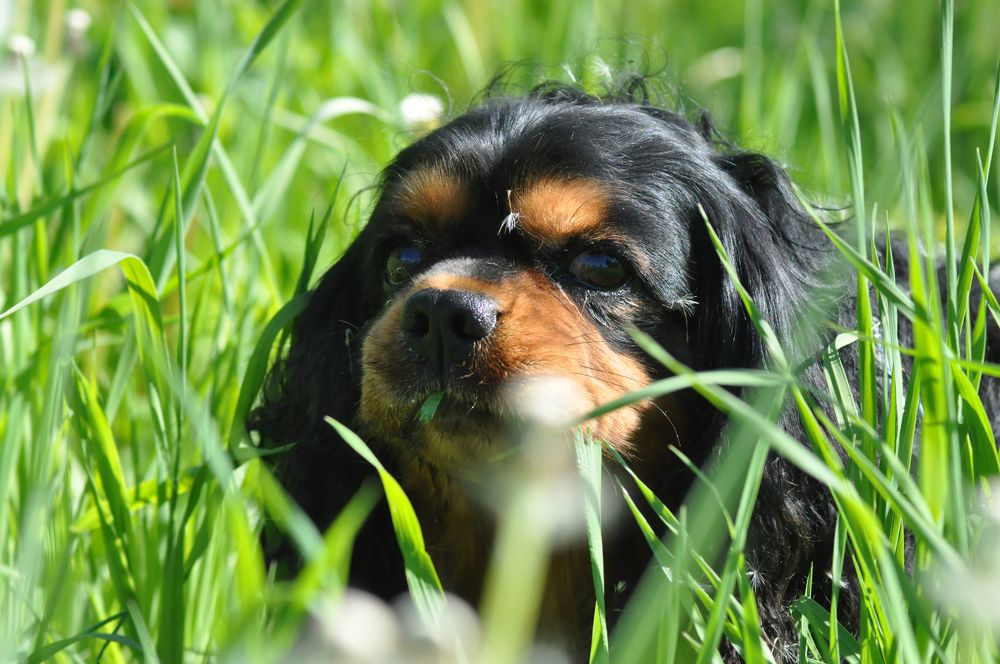 Photograph by Екатерина Молчанова