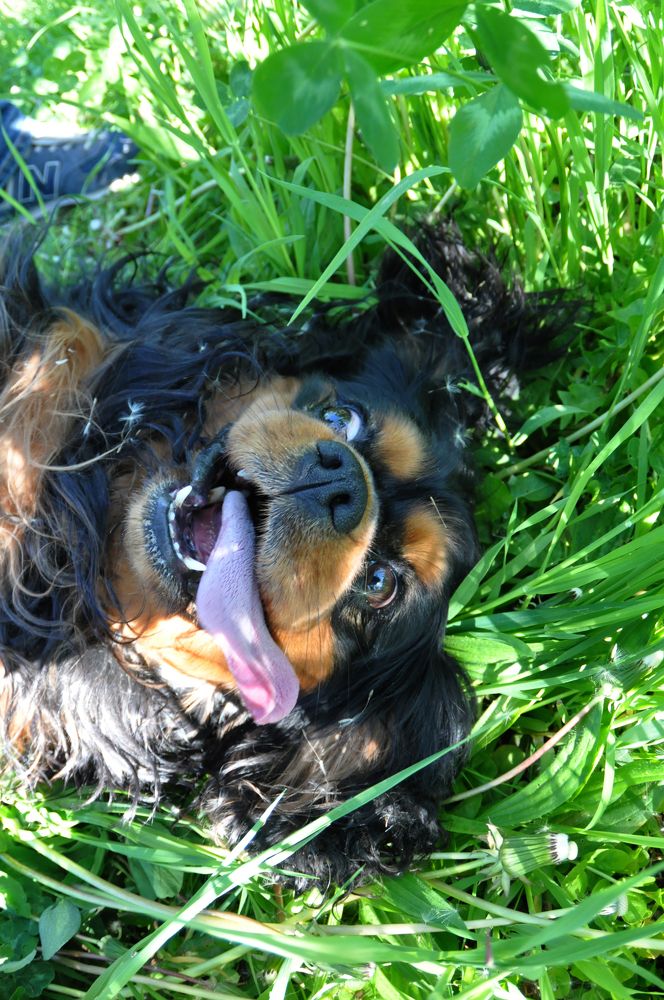 Photograph by Екатерина Молчанова