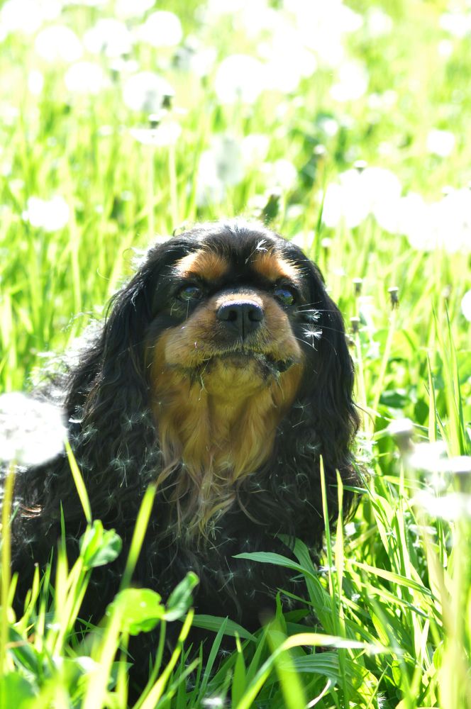 Photograph by Екатерина Молчанова