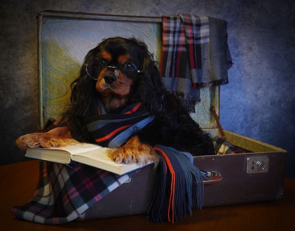 Photograph by Екатерина Молчанова