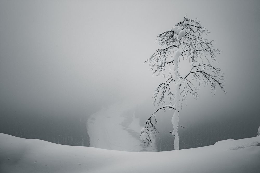 Над Усьвой. Конец декабря.