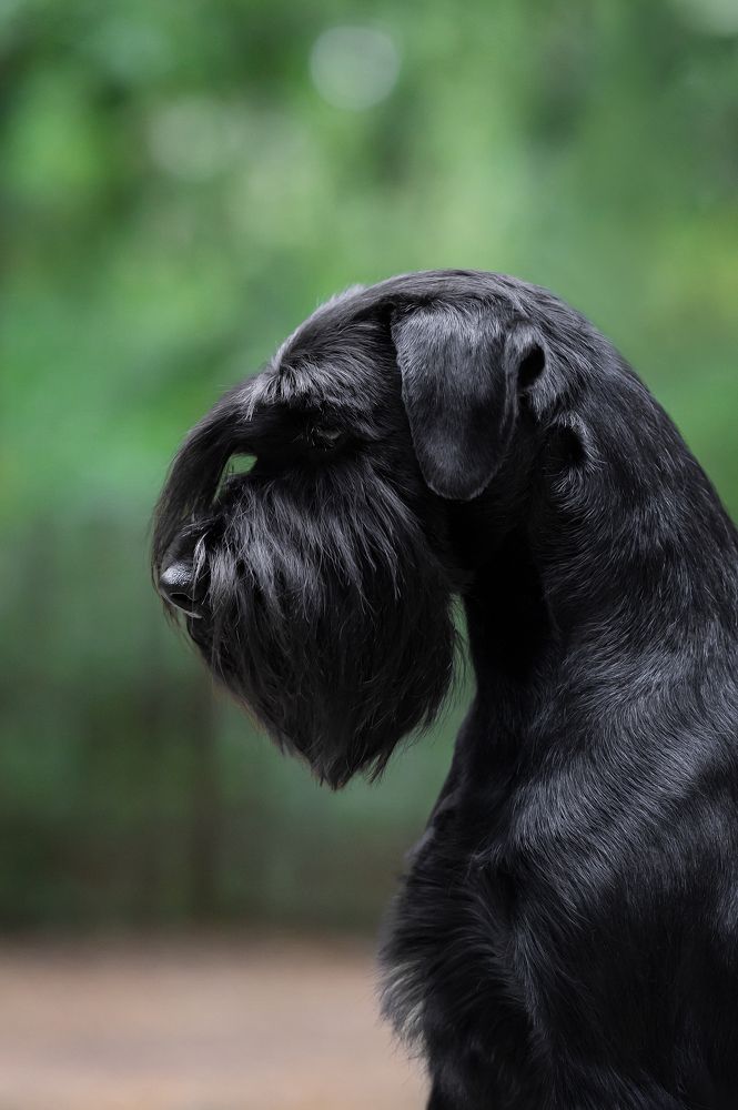 Photograph by Олег Гаричкин