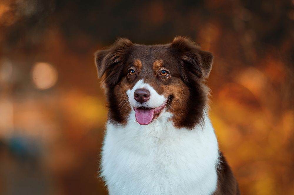 Photograph by Олег Гаричкин