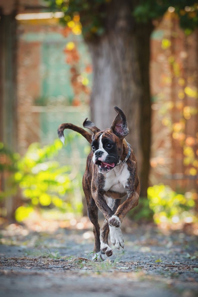 Photograph by Олег Гаричкин