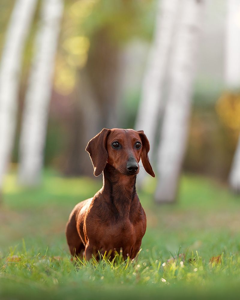 Photograph by Олег Гаричкин