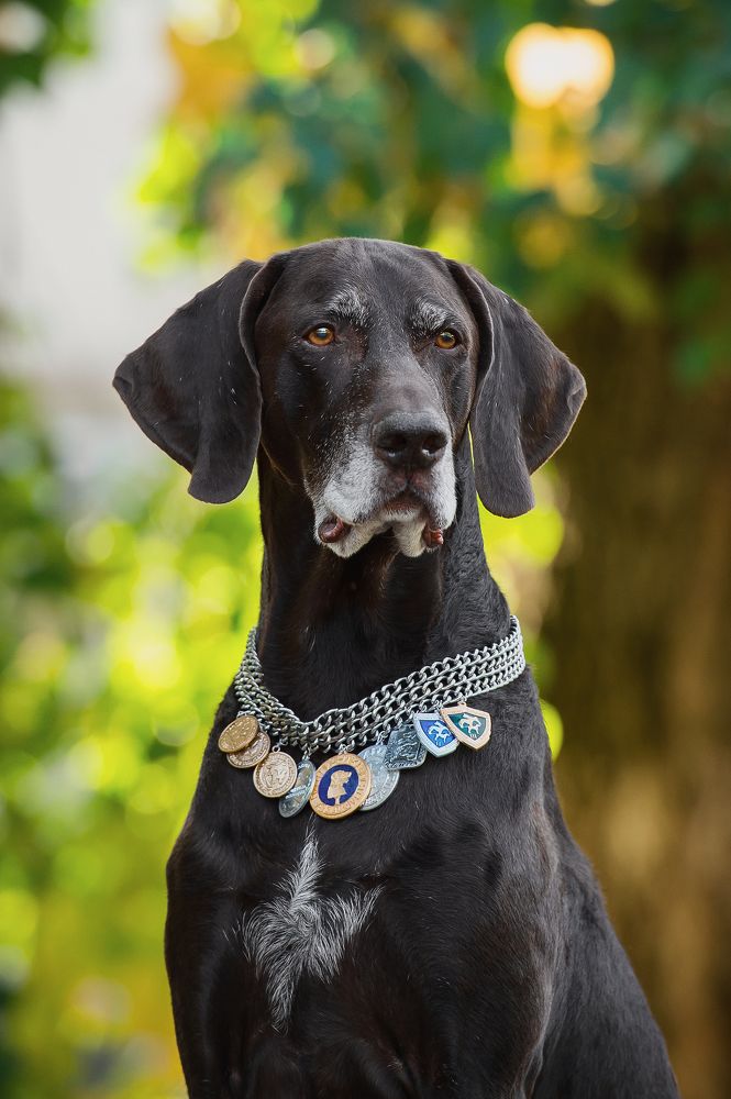 Photograph by Олег Гаричкин