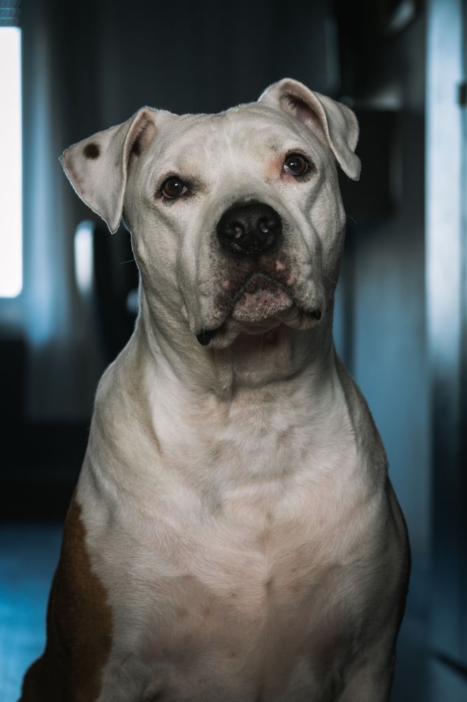 Photograph by Robert Fülöp