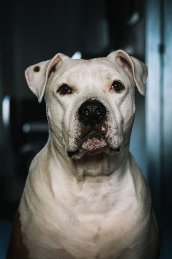 Photograph by Robert Fülöp