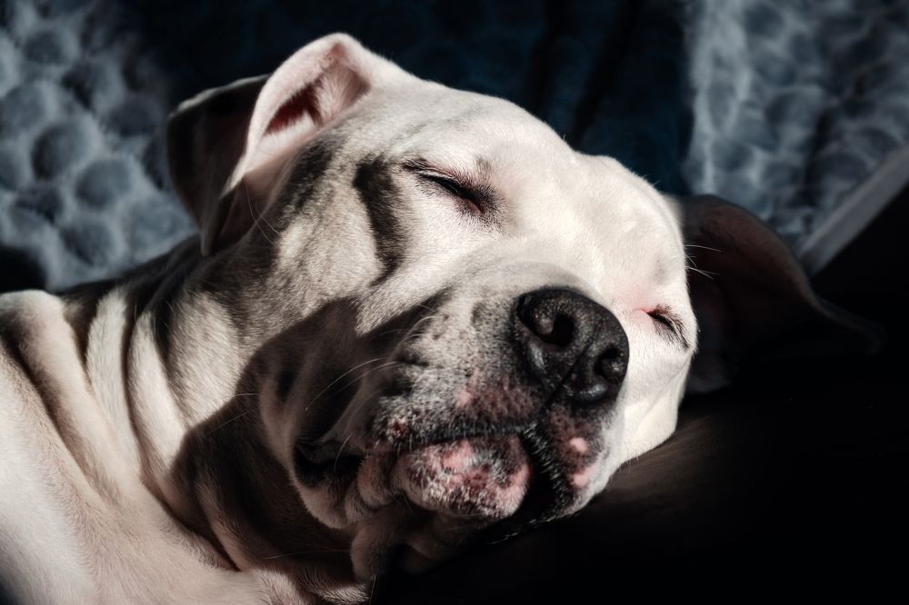 Photograph by Robert Fülöp