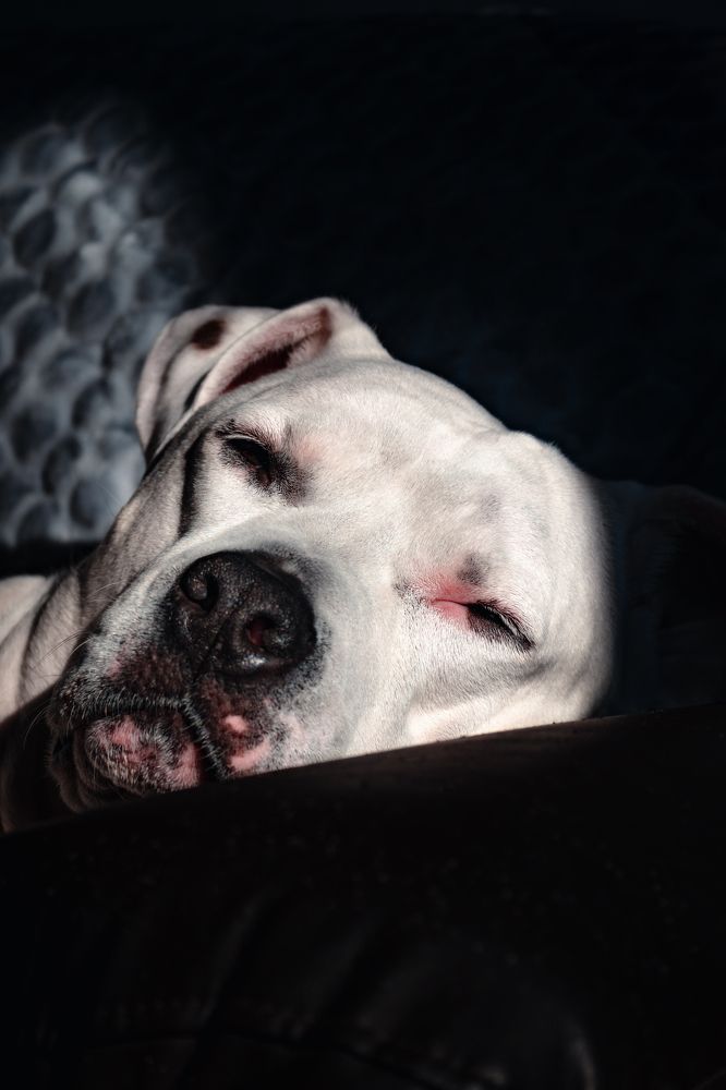 Photograph by Robert Fülöp