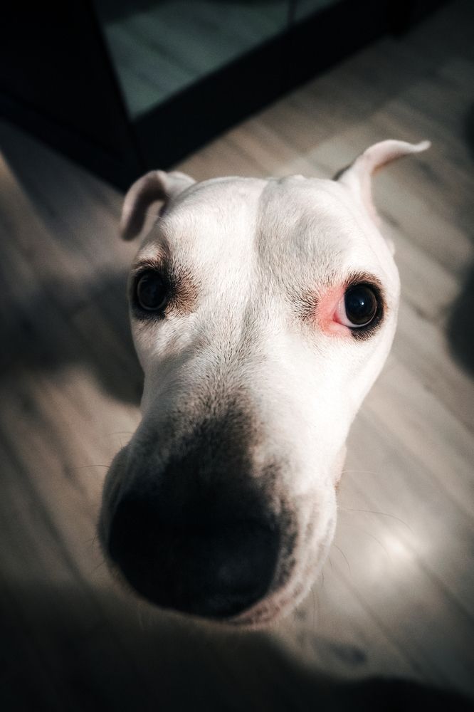 Photograph by Robert Fülöp