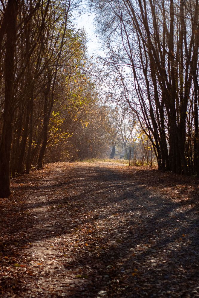 Photograph by Инна Леонтьева