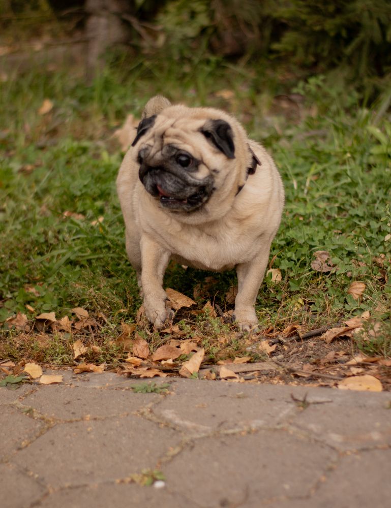 Photograph by Инна Леонтьева