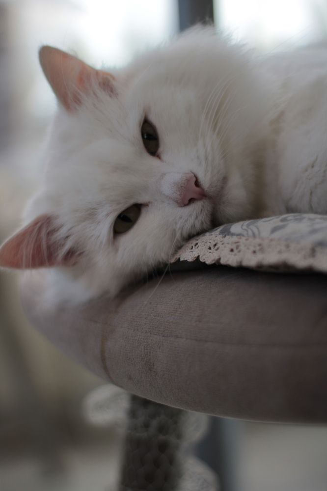 Photograph by Инна Леонтьева