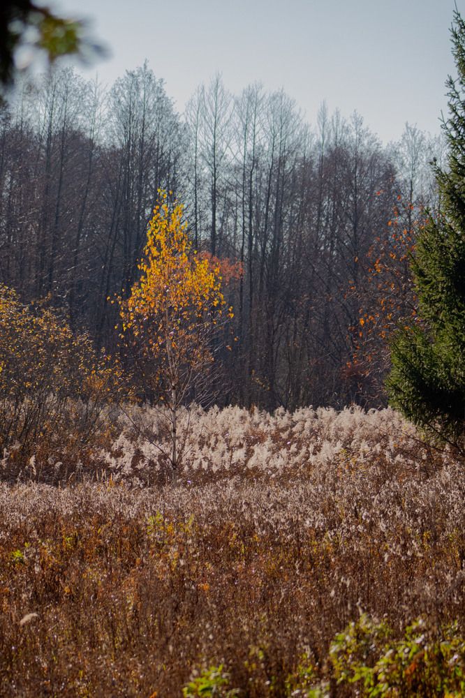 Photograph by Инна Леонтьева