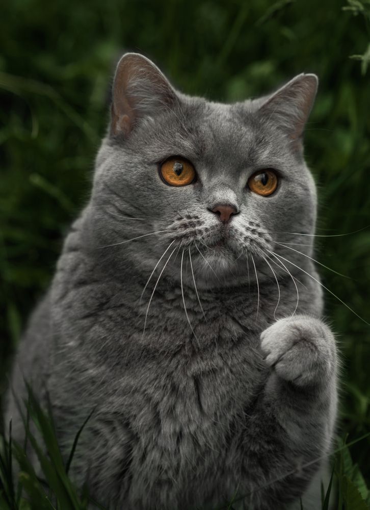 Photograph by Светлана Алексеева