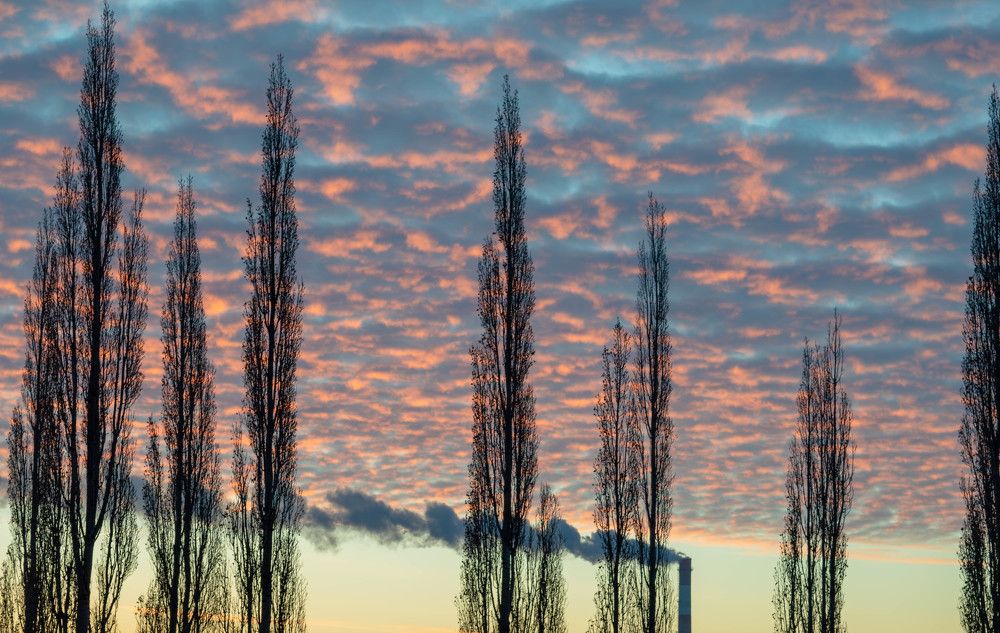 Photograph by Наталья Поспелова