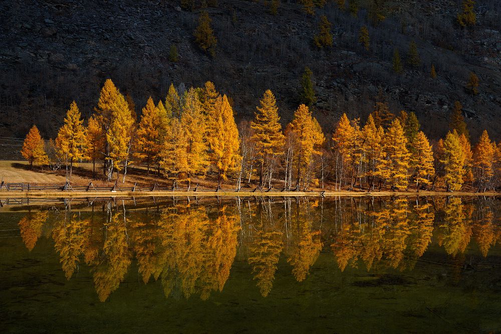 Photograph by Нерозя Александр