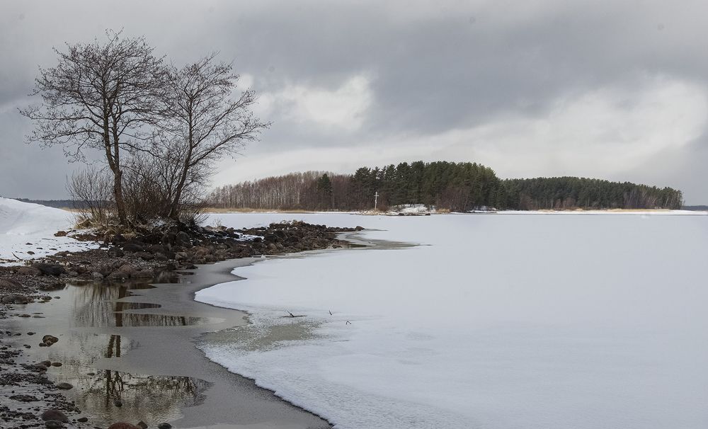 На прогулке