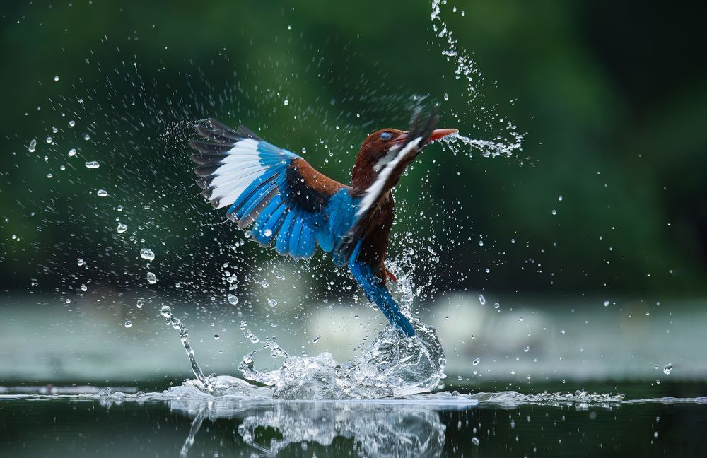 Photograph by Nguyen Van Thanh