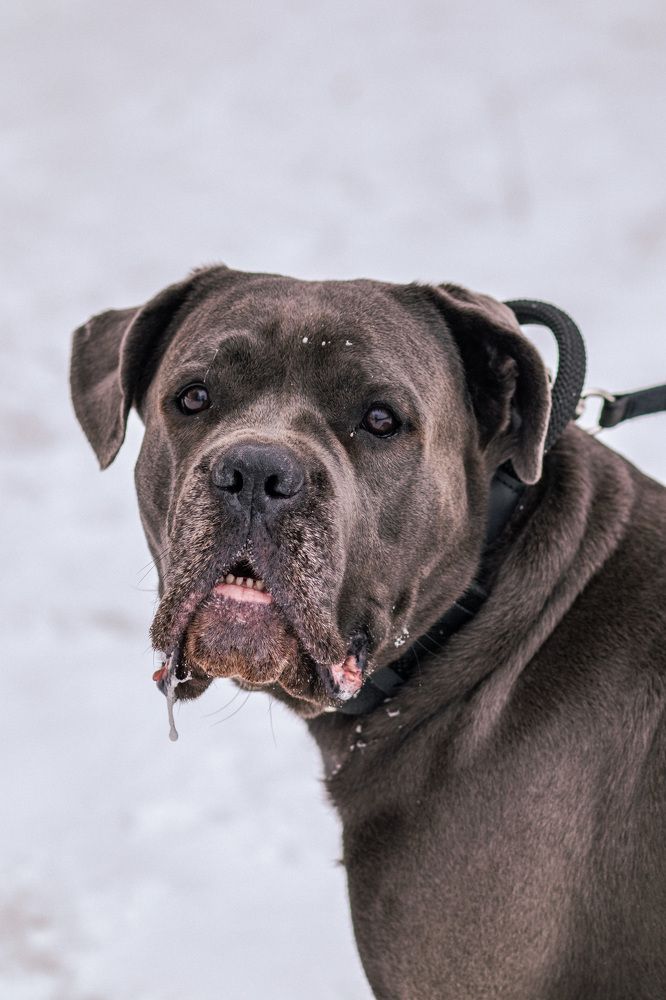 Photograph by Anastasia Astakhova