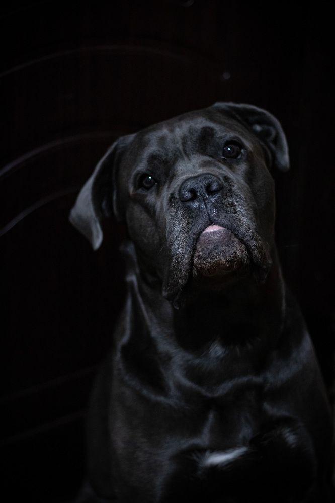 Photograph by Anastasia Astakhova