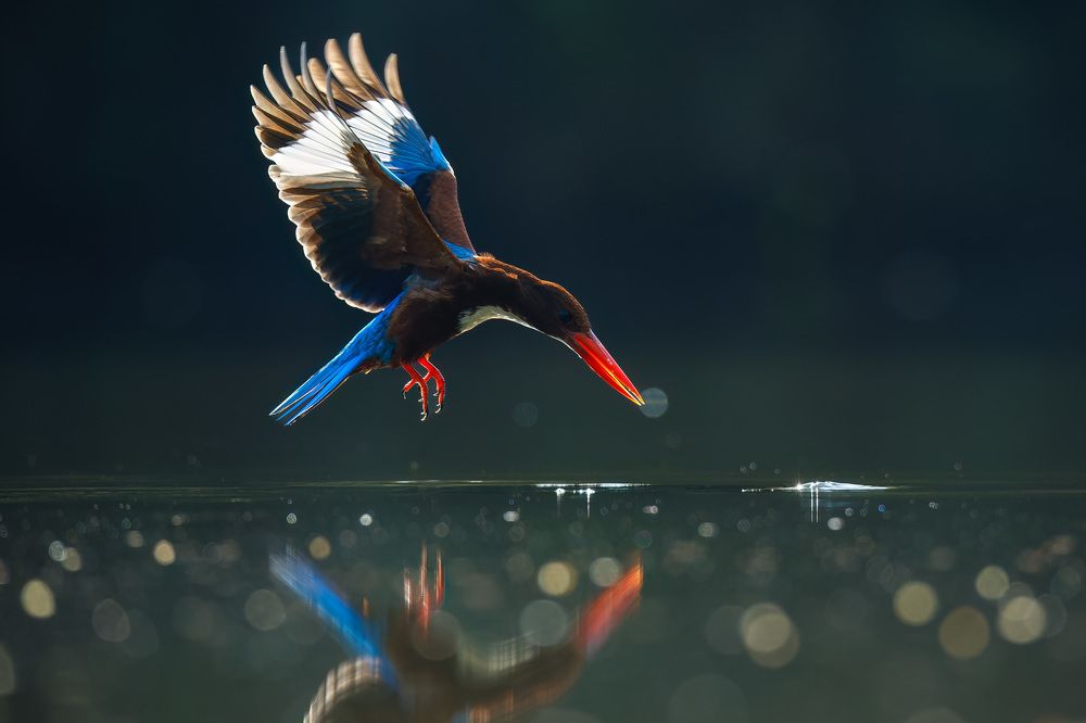 Photograph by Nguyen Van Thanh