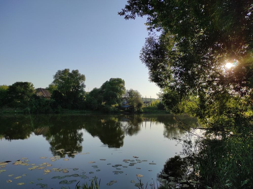 Photograph by Анастасия Семилетова