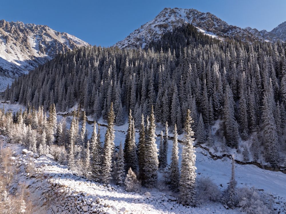 Photograph by Антон Андриянов