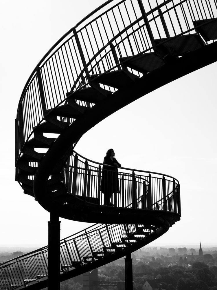 Фотография автора David De koninck