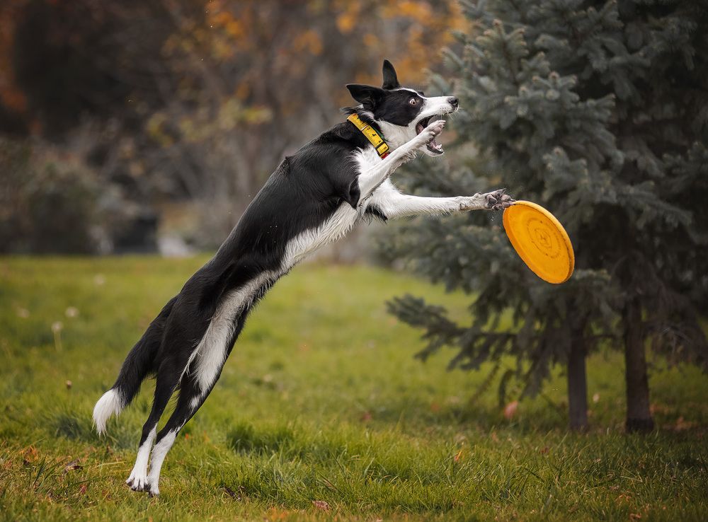 Photograph by Юлия Григорьева