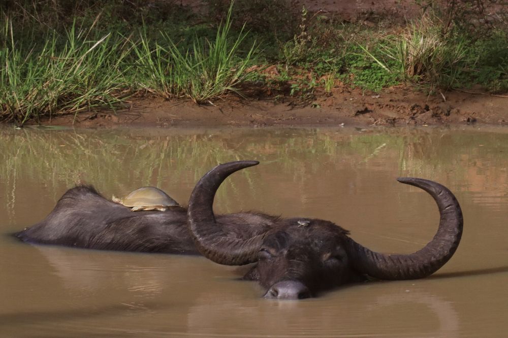 Photograph by Елена Рудкевич