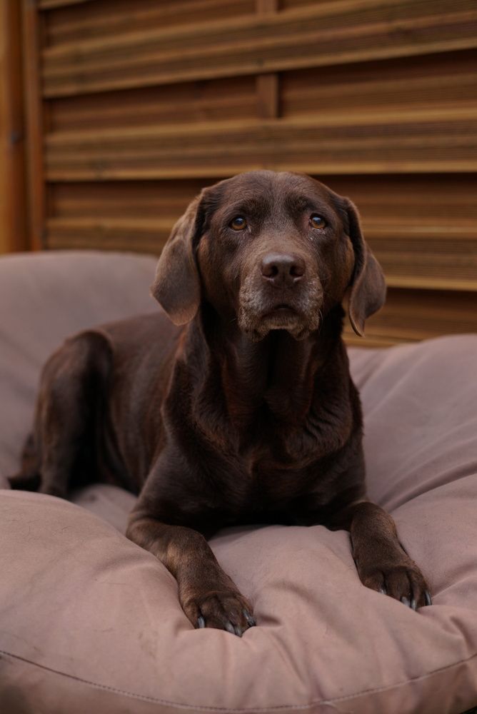 Photograph by Swetlana Brumm