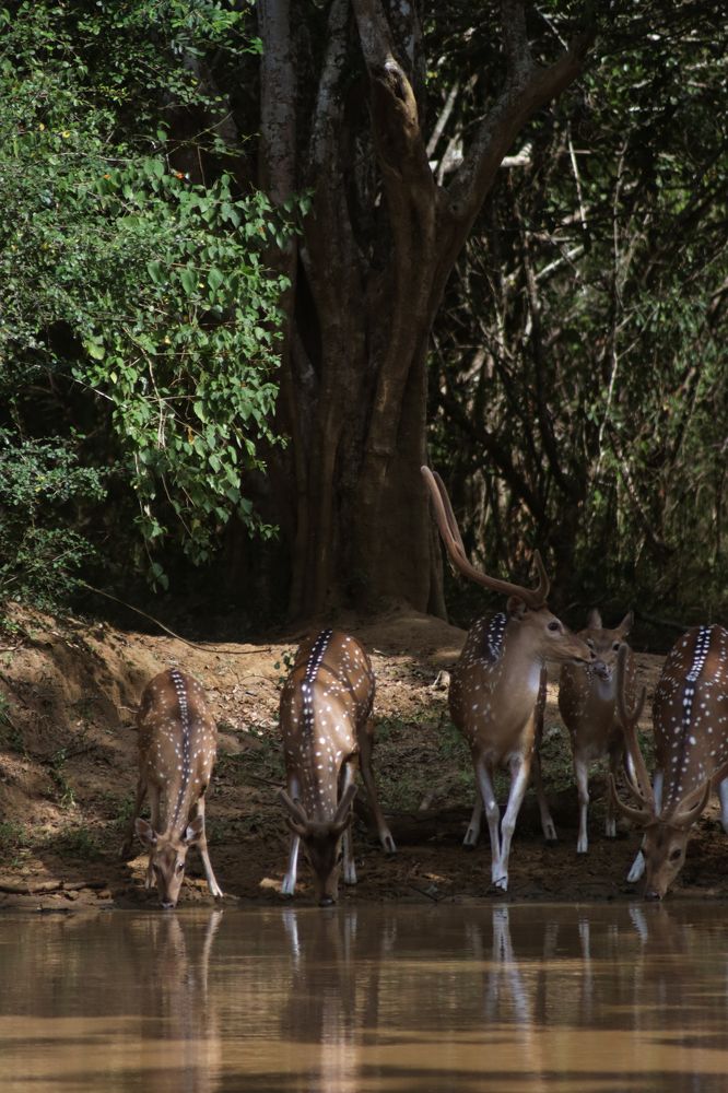 Photograph by Елена Рудкевич