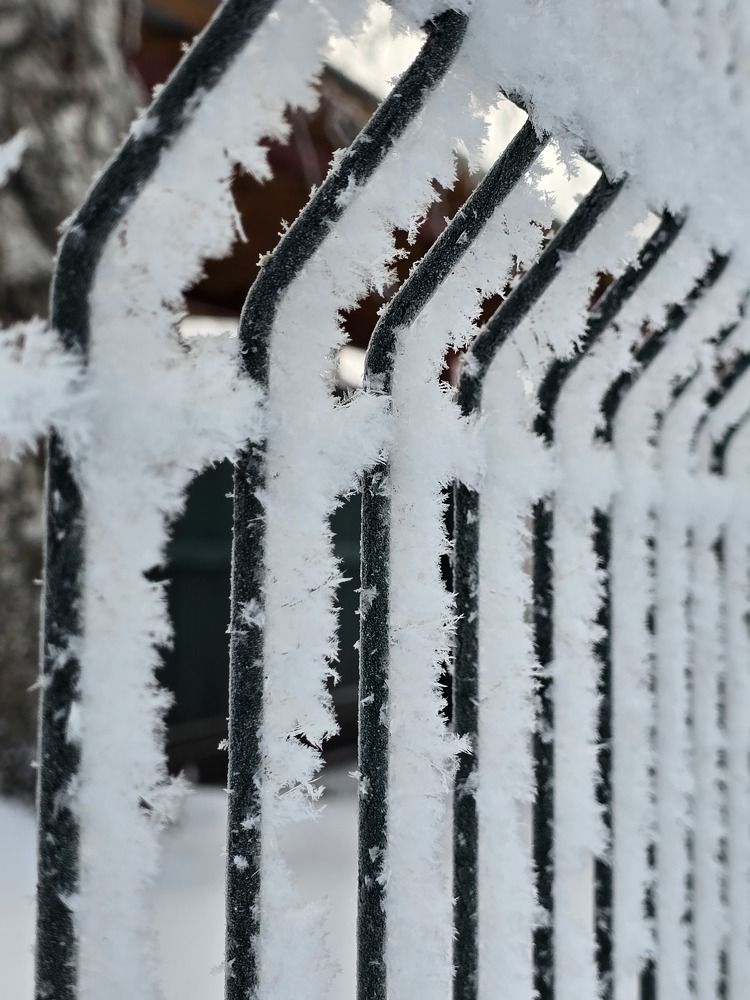 Photograph by Евгения Гриднева