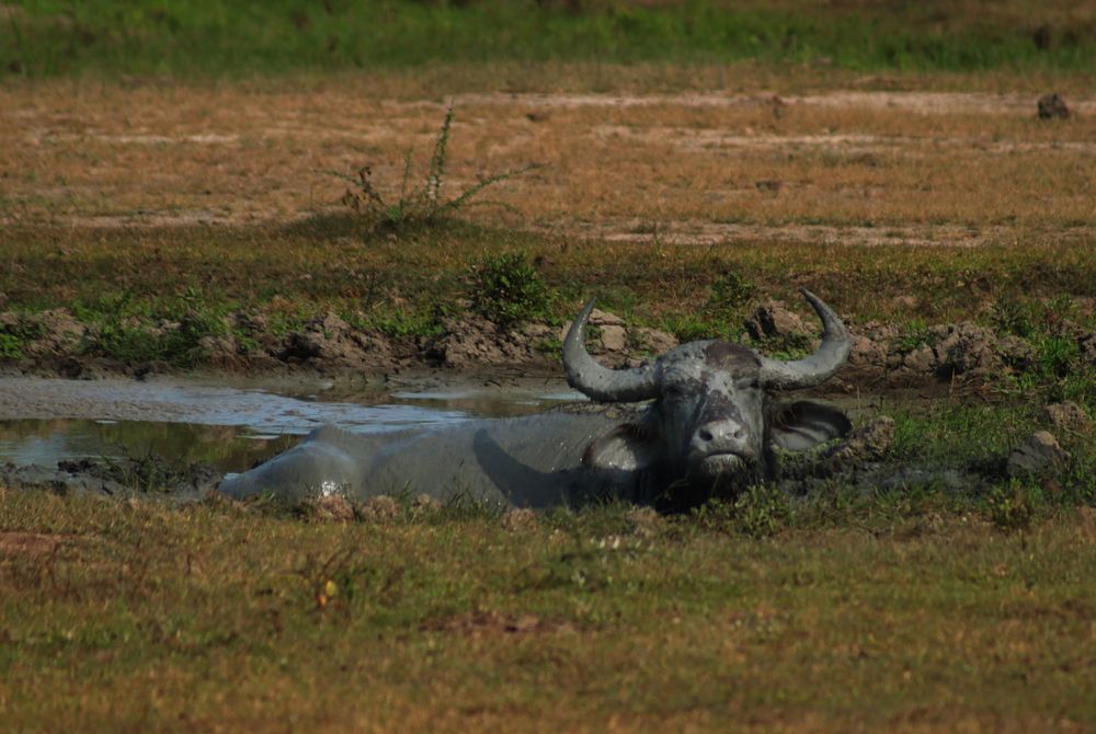 Photograph by Елена Рудкевич