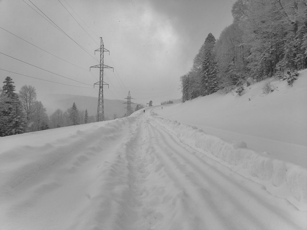 Фотография автора Татьяна Сергиенко