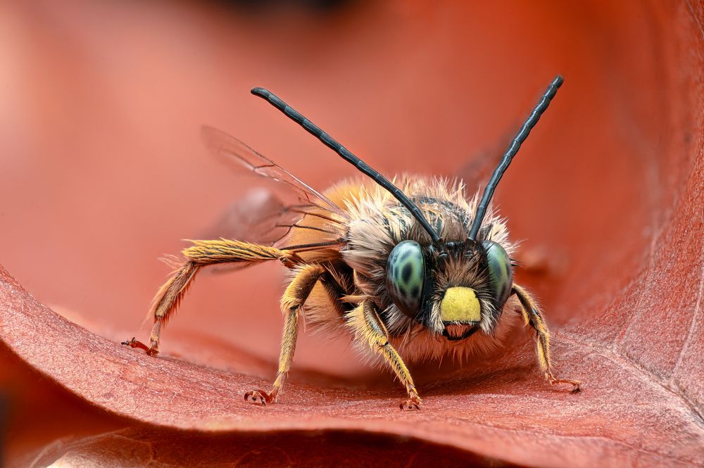 Photograph by Цветан Ганев