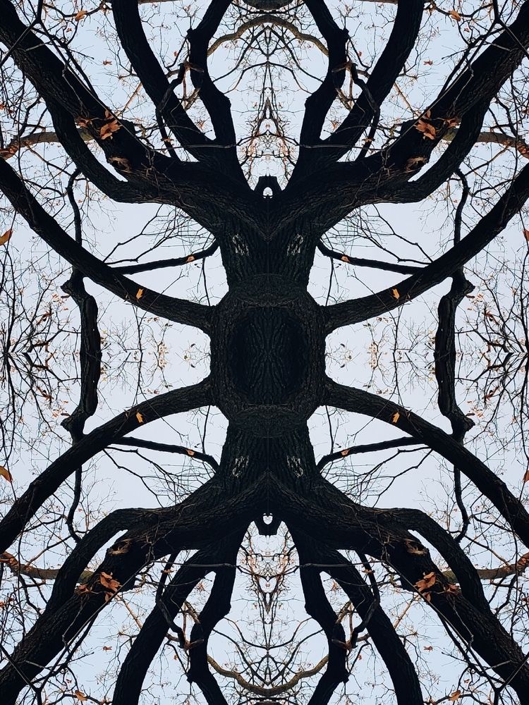 Photograph by Selina Marina