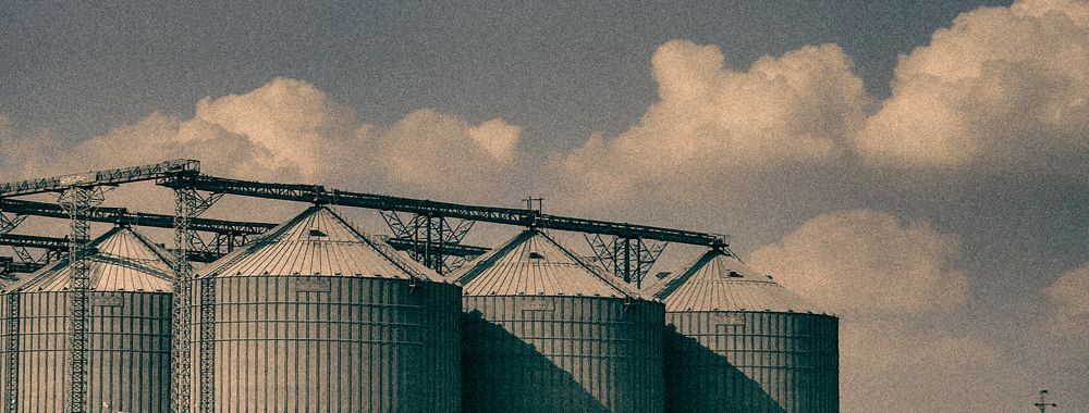 Photograph by Ahmed Ehab Akl